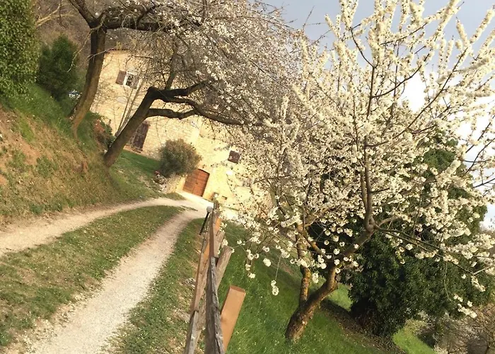 Cascina Buren